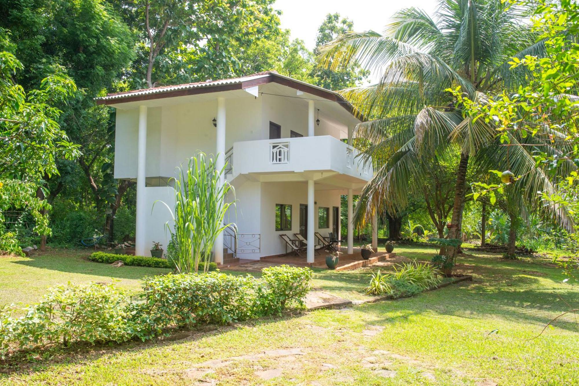 The Jungle Pearl Hotel Udawalawe Exterior photo